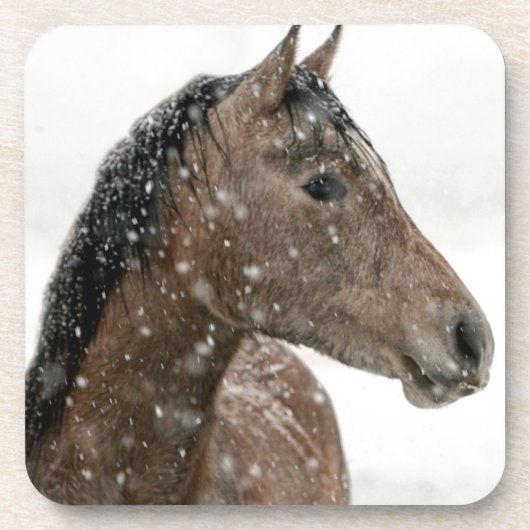 Paarden in de winter bier onderzetter (Voorkant)