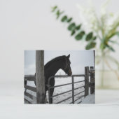 Paarden in de winter briefkaart (Staand voorkant)