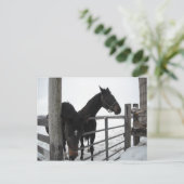 Paarden in de winter briefkaart (Staand voorkant)