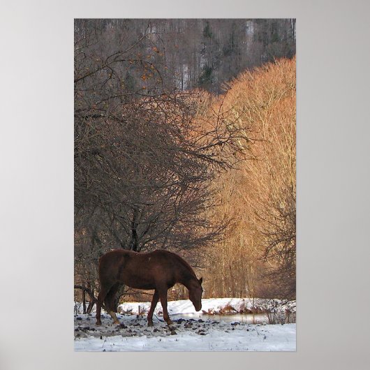 Paarden in de winter poster (Voorkant)