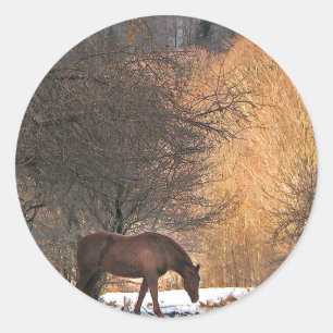 Paarden in de winter ronde sticker