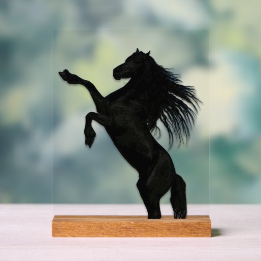 Paarden in de wolken acryl bord (Neutraal)
