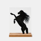 Paarden in de wolken acryl bord (Voorkant)