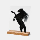 Paarden in de wolken acryl bord (Hoek)