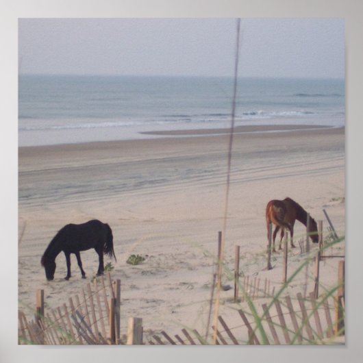 Paarden in de zand poster (Voorkant)