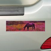 Paarden in een kaleidoscoop gekleurd veld bumpersticker (Op auto)