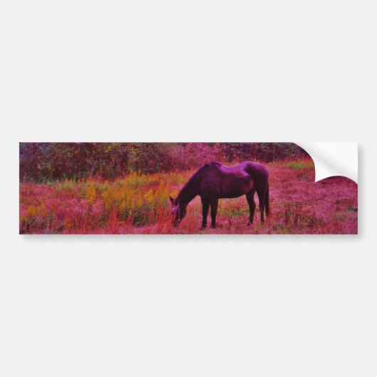 Paarden in een kaleidoscoop gekleurd veld bumpersticker (Voorkant)