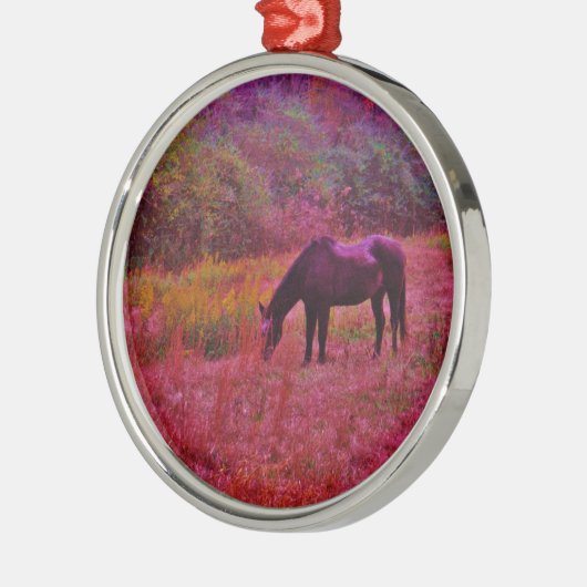 Paarden in een kaleidoscoop gekleurd veld metalen ornament (Links)