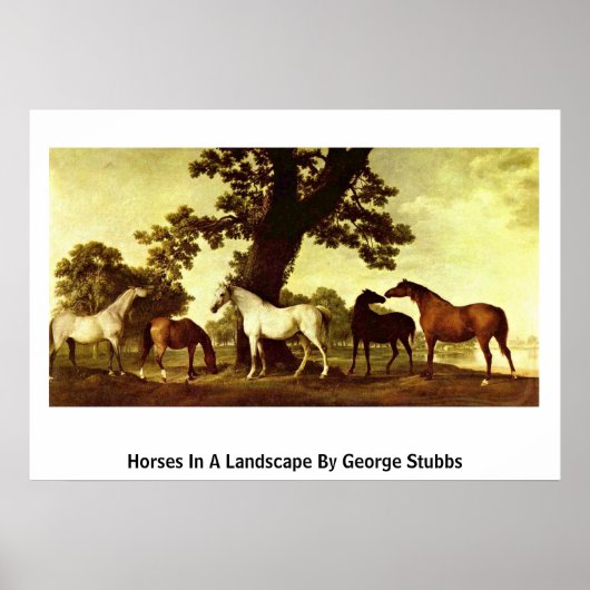 Paarden in een landschap van George Stubbs Poster (Voorkant)