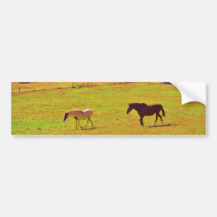 Paarden in een regenbooggekleurd veld bumpersticker