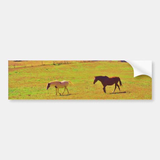 Paarden in een regenbooggekleurd veld bumpersticker (Voorkant)