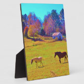 Paarden in een regenbooggekleurd veld fotoplaat (Zijkant)