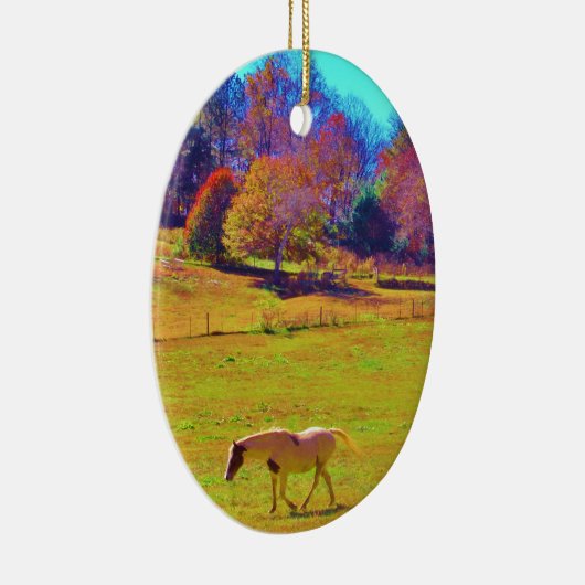 Paarden in een regenbooggekleurd veld keramisch ornament (Rechts)