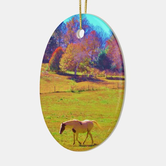 Paarden in een regenbooggekleurd veld keramisch ornament (Links)