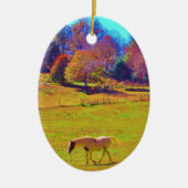 Paarden in een regenbooggekleurd veld keramisch ornament (Voorkant)