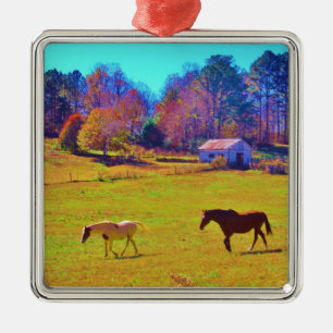 Paarden in een regenbooggekleurd veld metalen ornament
