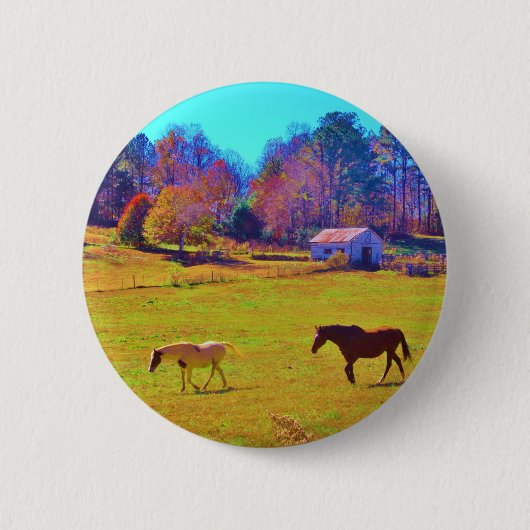 Paarden in een regenbooggekleurd veld ronde button 5,7 cm (Voorkant)