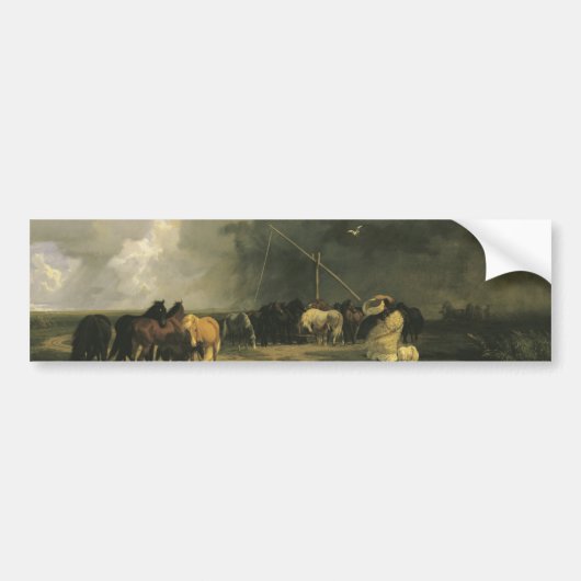 Paarden in een regenbui (Equine) Bumpersticker (Voorkant)