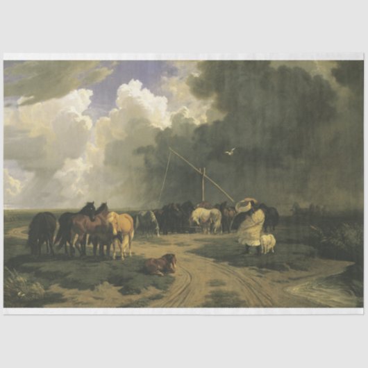 Paarden in een regenbui (paardachtigen) tissuepapier (Voorkant)