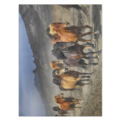 Paarden in een scheut tafelkleed (Voorkant)