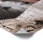 Paarden in een schuur op een regenachtige dag poster (Hoek)