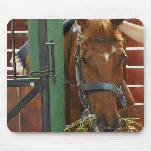 Paarden in een stabiel muismat (Voorkant)