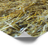 Paarden in een stabiele poster (Hoek)