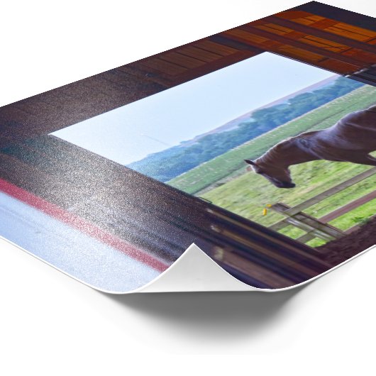 Paarden in een Stable, Missouri Foto Afdruk (Hoek)