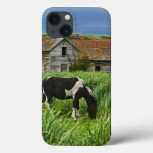 paarden in een veld in de Palouse 2 bekijken Case-Mate iPhone Case