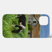 paarden in een veld in de Palouse 2 bekijken Case-Mate iPhone Case (Achterkant (horizontaal))