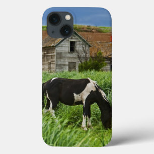 paarden in een veld in de Palouse 2 bekijken iPhone 13 Hoesje