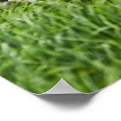 paarden in een veld in de Palouse 2 bekijken Poster (Hoek)