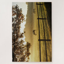 Paarden in een veld op een zonnige ochtend