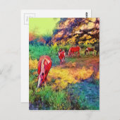 Paarden in een weide briefkaart (Voorkant / Achterkant)
