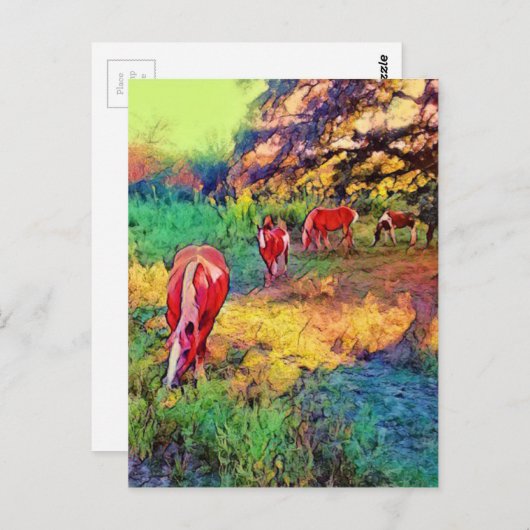 Paarden in een weide briefkaart (Voorkant / Achterkant)