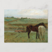 Paarden in een weide Edgar Degas Briefkaart (Voorkant)