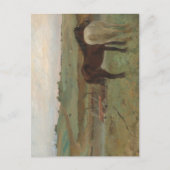 Paarden in een weide, olieverfschilderij, Edgar De Briefkaart (Voorkant)