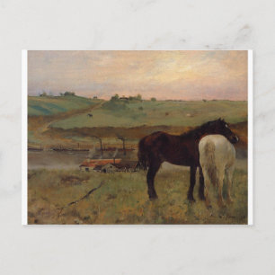 Paarden in een weide van Edgar Degas Briefkaart