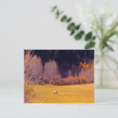 Paarden in Herfst I Briefkaart (Staand voorkant)