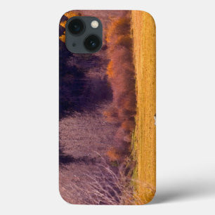 Paarden in Herfst I Case-Mate iPhone Case