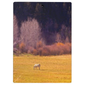 Paarden in Herfst I Klembord (Achterkant)