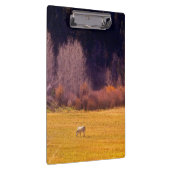 Paarden in Herfst I Klembord (Rechts)