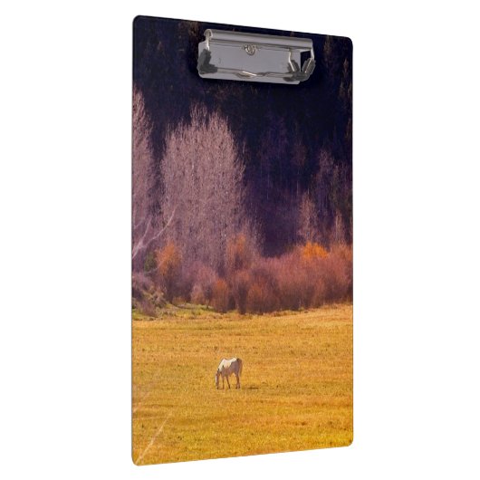 Paarden in Herfst I Klembord (Rechts)