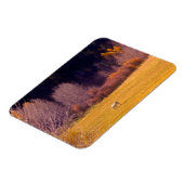 Paarden in Herfst I Magneet (Linkerzijde)