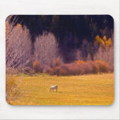 Paarden in Herfst I Muismat (Voorkant)