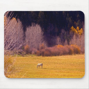 Paarden in Herfst I Muismat