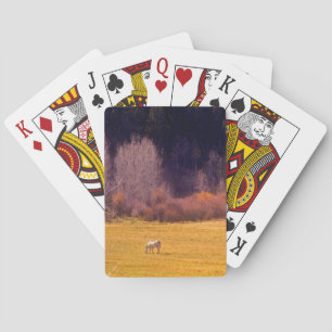 Paarden in Herfst I Pokerkaarten