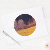 Paarden in Herfst I Ronde Sticker (Envelop)