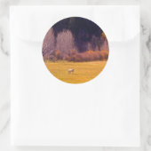 Paarden in Herfst I Ronde Sticker (Tas)