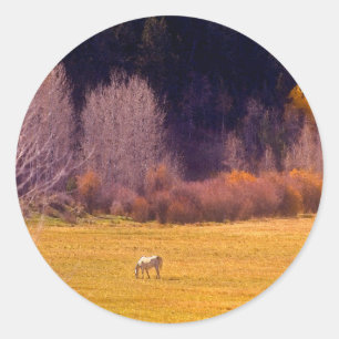 Paarden in Herfst I Ronde Sticker